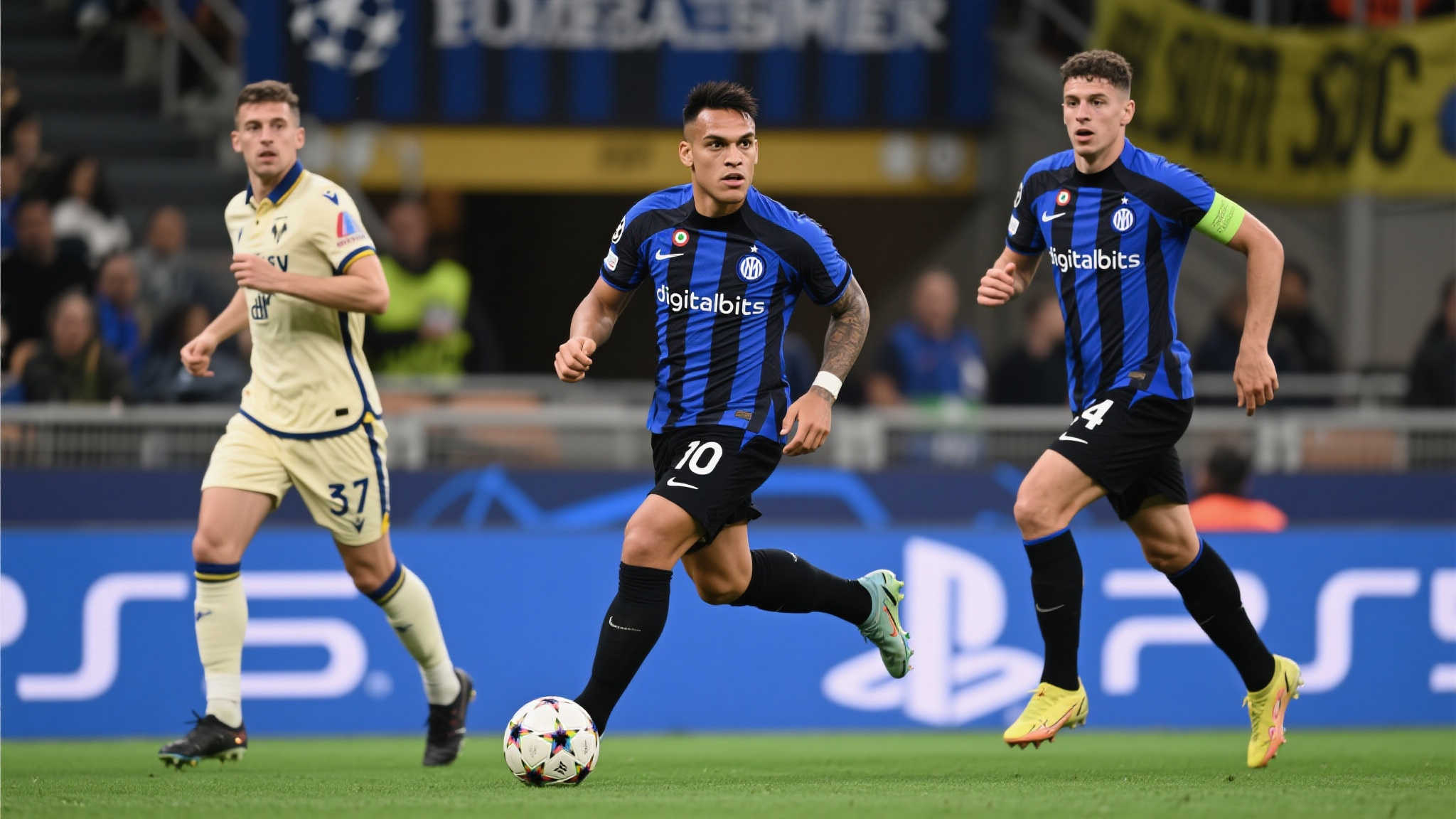 塞尔不会轻 塞尔不会轻