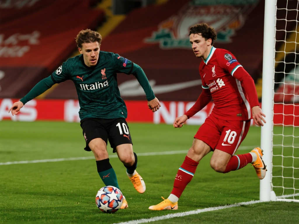 解读为一种 解读为一种